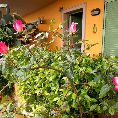 Bed & Breakfast Casa Marta
